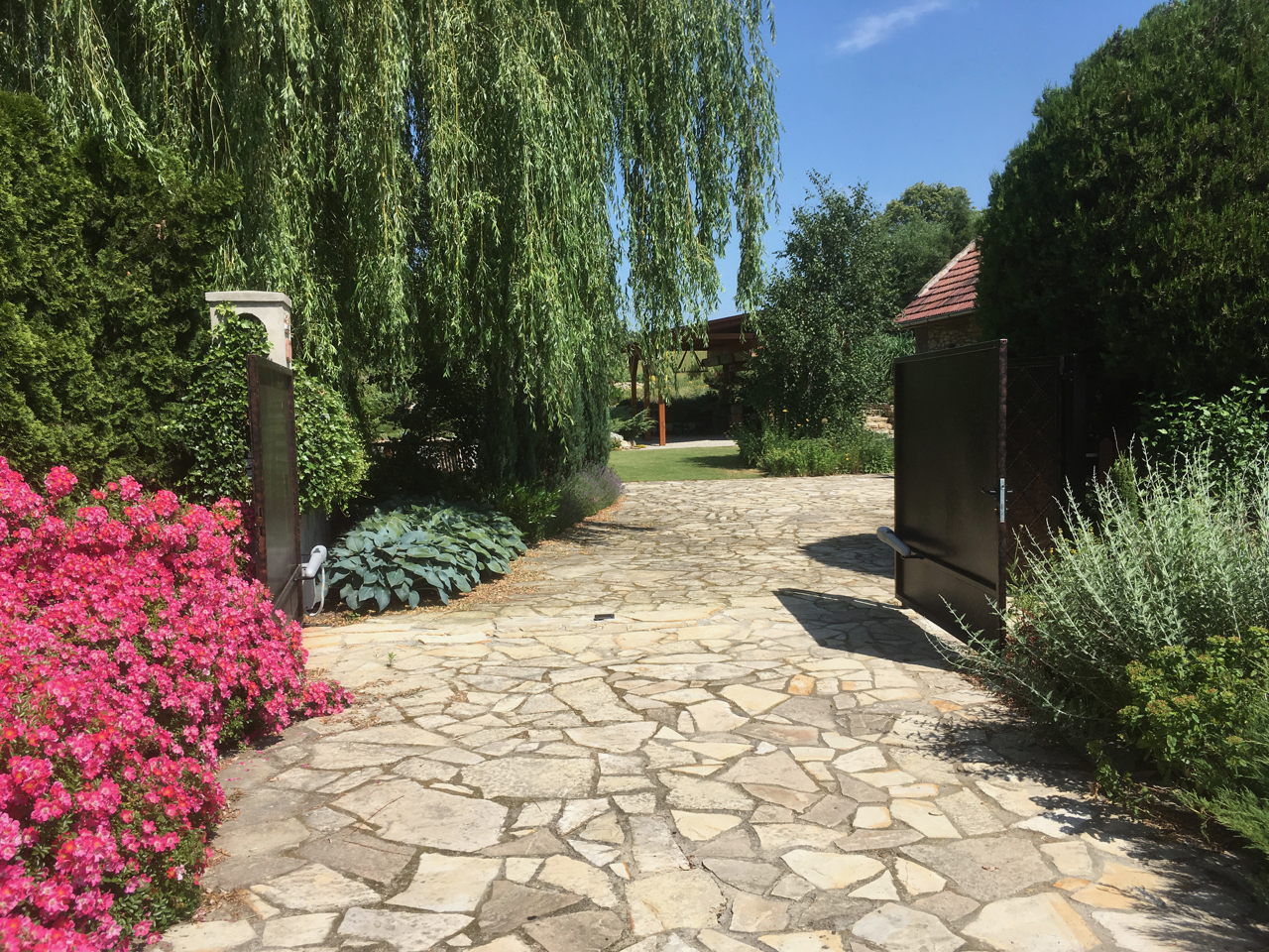 Otwarta, automatyczna brama wjazdowa z ciemnego metalu, prowadząca na kamienną ścieżkę przez zadbany ogród z kwitnącymi różowymi krzewami, hostami i drzewami.