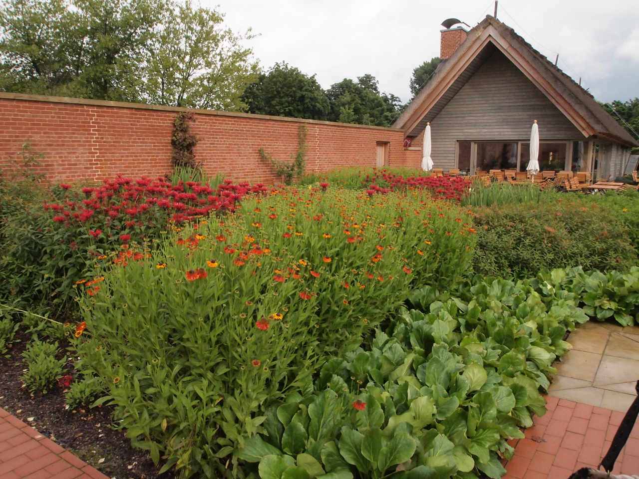 Ogród z kwitnącymi czerwonymi i pomarańczowymi kwiatami, ceglanym murem i budynkiem z dachem krytym strzechą w tle.