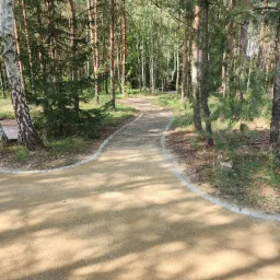 Parkowa ścieżka z utwardzoną nawierzchnią i obrzeżami z kostki granitowej, prowadząca przez las sosnowo-brzozowy w słoneczny dzień.