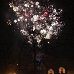 Firma Wielobranżowa ADBAC - Nocny pokaz sztucznych ogni zza gałęzi drzew, widoczne budynki i oświetlenie miejskie w tle.