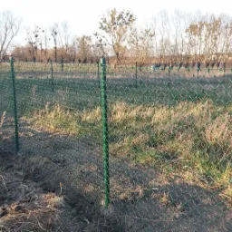 Długi, zielony, metalowy płot z siatki na tle zarośniętego pola i drzew bez liści, widać słupki i napiętą siatkę.