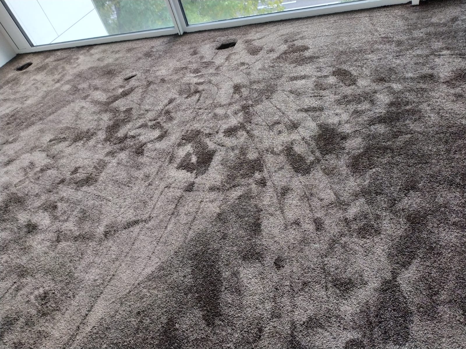 Szary dywan z długim włosiem, widoczne ślady odkurzania i otwory na kable przy ścianie z oknem.