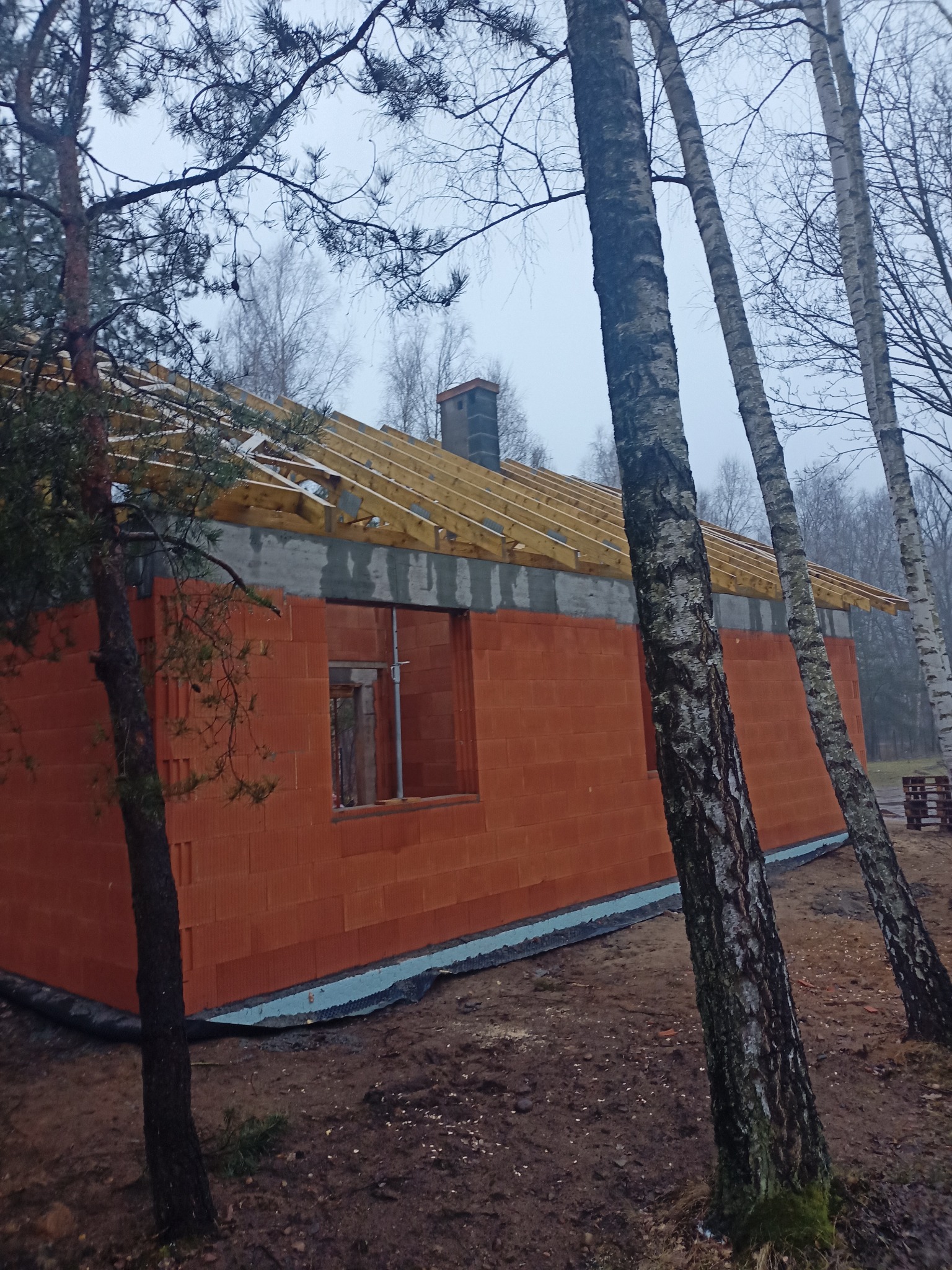 Surowy stan domu z czerwonej cegły, z widoczną konstrukcją dachu i kominem, otoczony drzewami na tle pochmurnego nieba. Etap budowy z bliska.