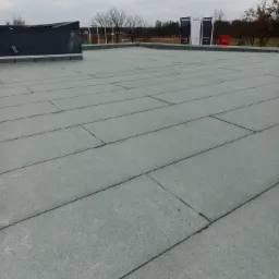 Płaski dach pokryty szarą papą bitumiczną, widoczne zgrzewy, w tle drzewa i słupki reklamowe.