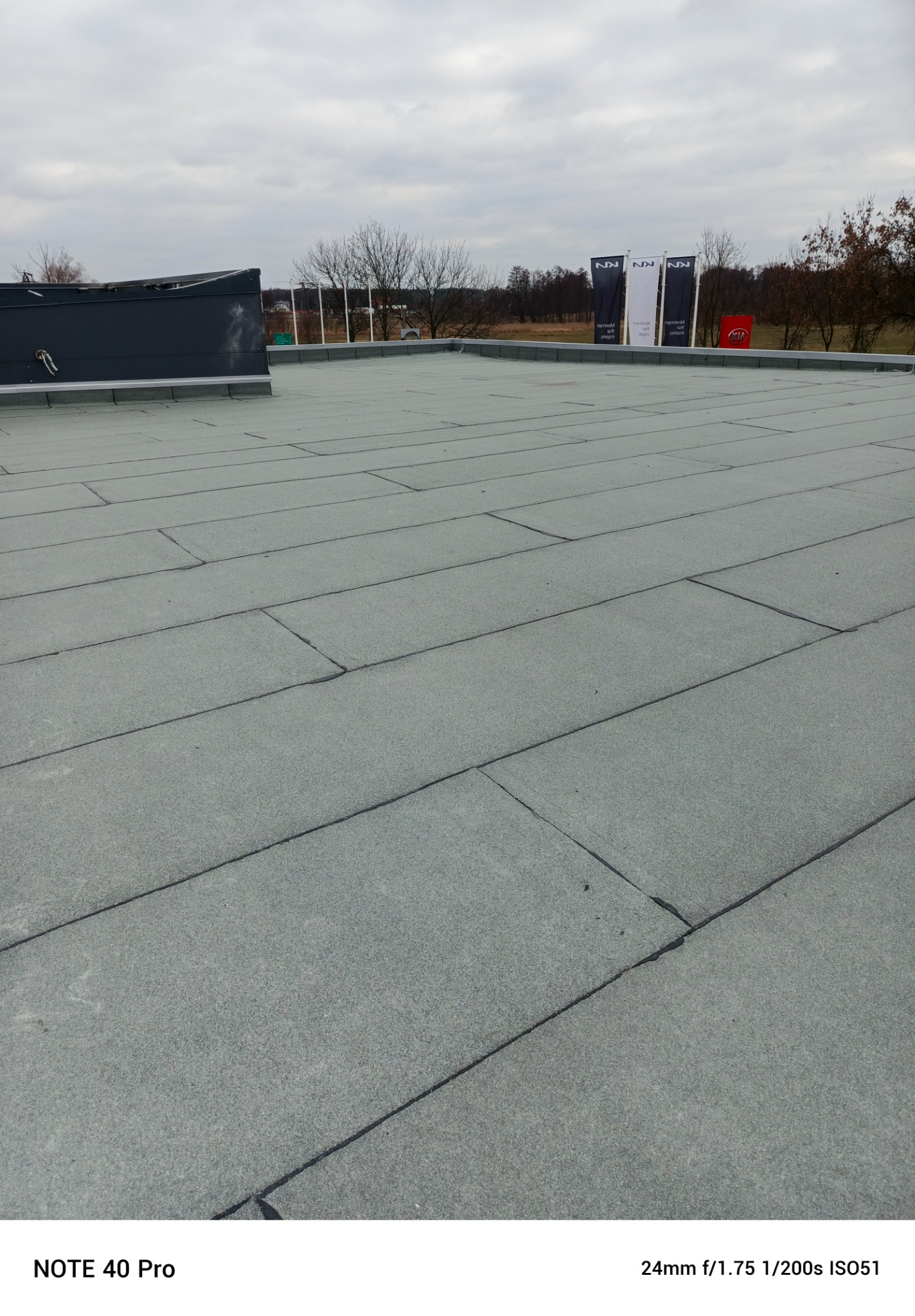 Płaski dach pokryty szarą papą bitumiczną, widoczne zgrzewy, w tle drzewa i słupki reklamowe.