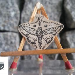 Muzea i galerie Tychy 3