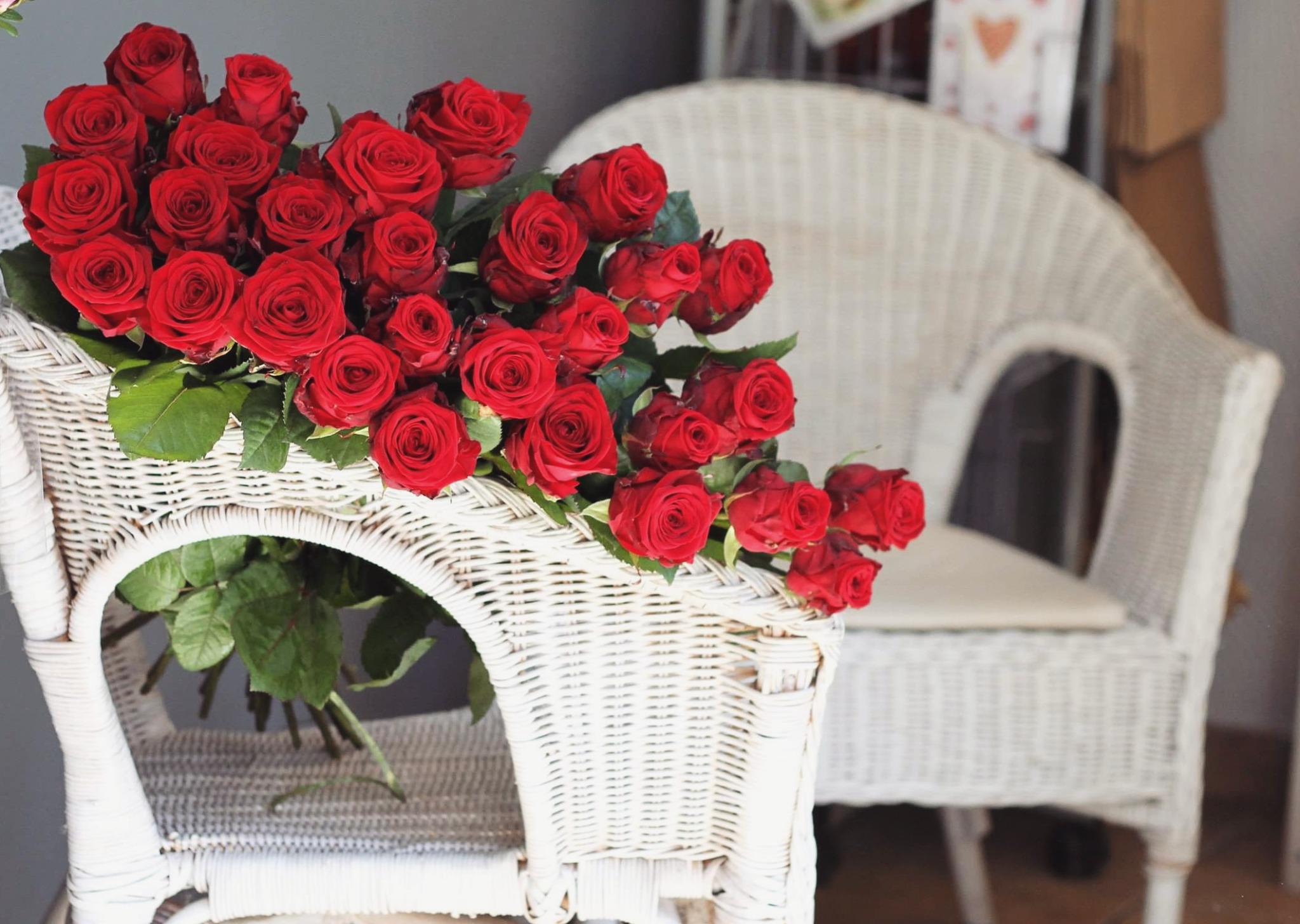 Duży bukiet intensywnie czerwonych róż ułożony na wiklinowym krześle, z drugim, rozmytym krzesłem w tle.