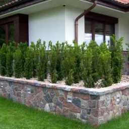 Kamienny murek z wbudowanymi lampkami oświetlającymi rabatę z iglakami, widok na fragment elewacji domu z brązowymi oknami.