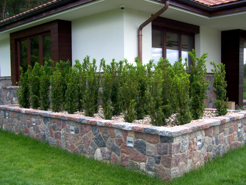 Kamienny murek z wbudowanymi lampkami oświetlającymi rabatę z iglakami, widok na fragment elewacji domu z brązowymi oknami.