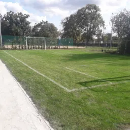 Widok na boisko piłkarskie z równo przystrzyżoną, zieloną trawą z rolki, z widocznymi liniami wyznaczającymi pole gry i bramkami, otoczone drzewami i częściowo ogrodzone siatką.