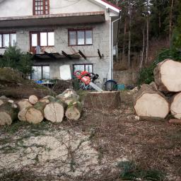 Home Electric - Sadzenie Drzew Jelenia Góra