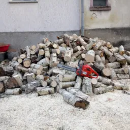 Stos pociętych kawałków drewna brzozowego z czerwoną piłą spalinową Husqvarna na wierzchu, otoczony wiórami, przy ścianie budynku.