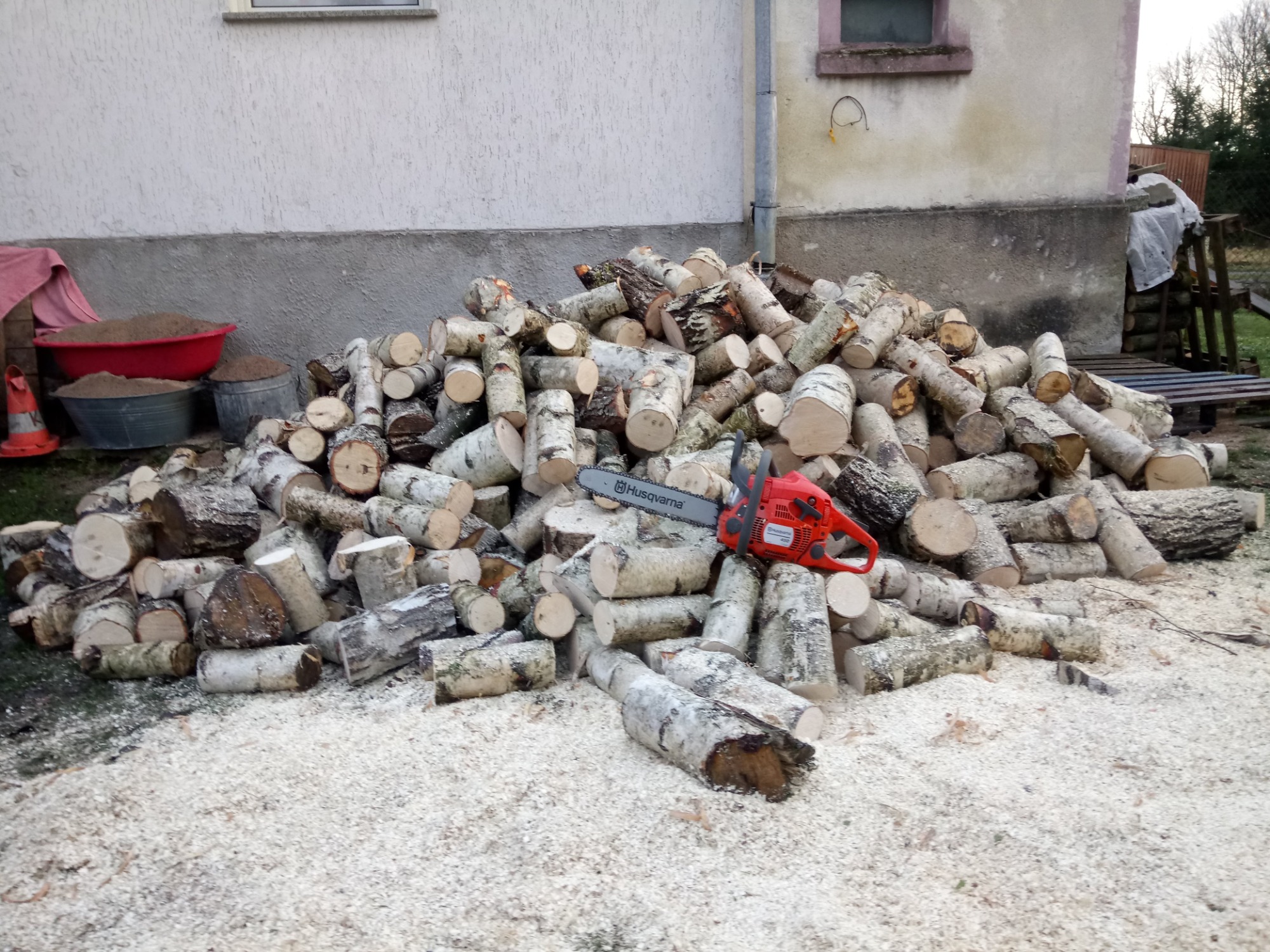 Stos pociętych kawałków drewna brzozowego z czerwoną piłą spalinową Husqvarna na wierzchu, otoczony wiórami, przy ścianie budynku.
