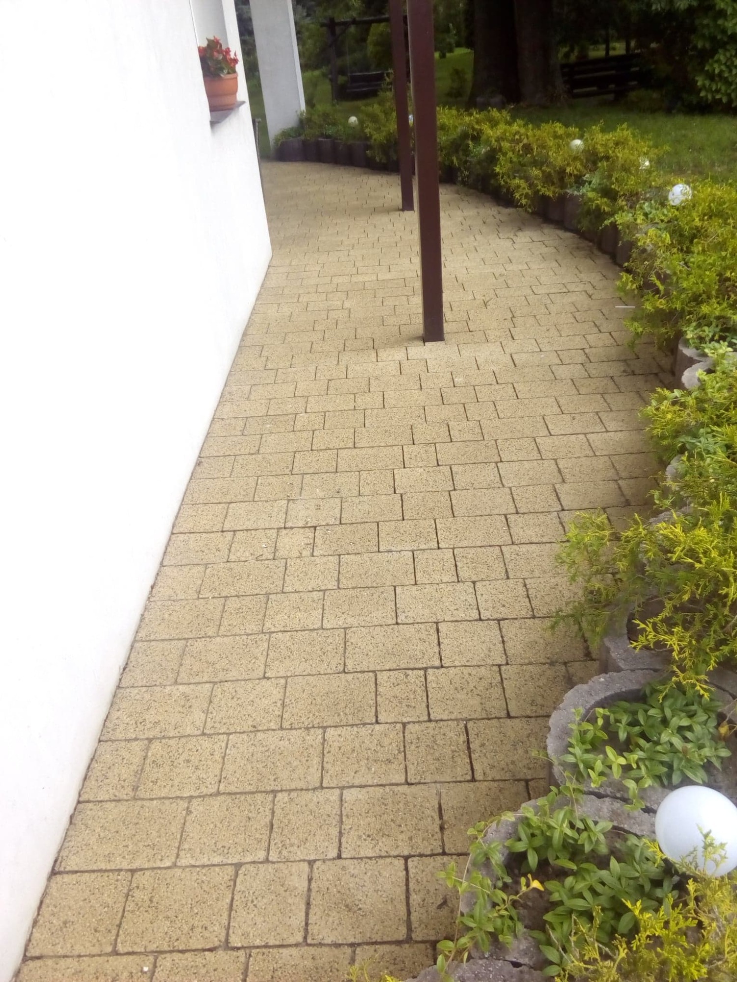 Żółta ścieżka ułożona z kostki brukowej prowadząca wzdłuż białej ściany budynku i obrzeża z roślinnością.