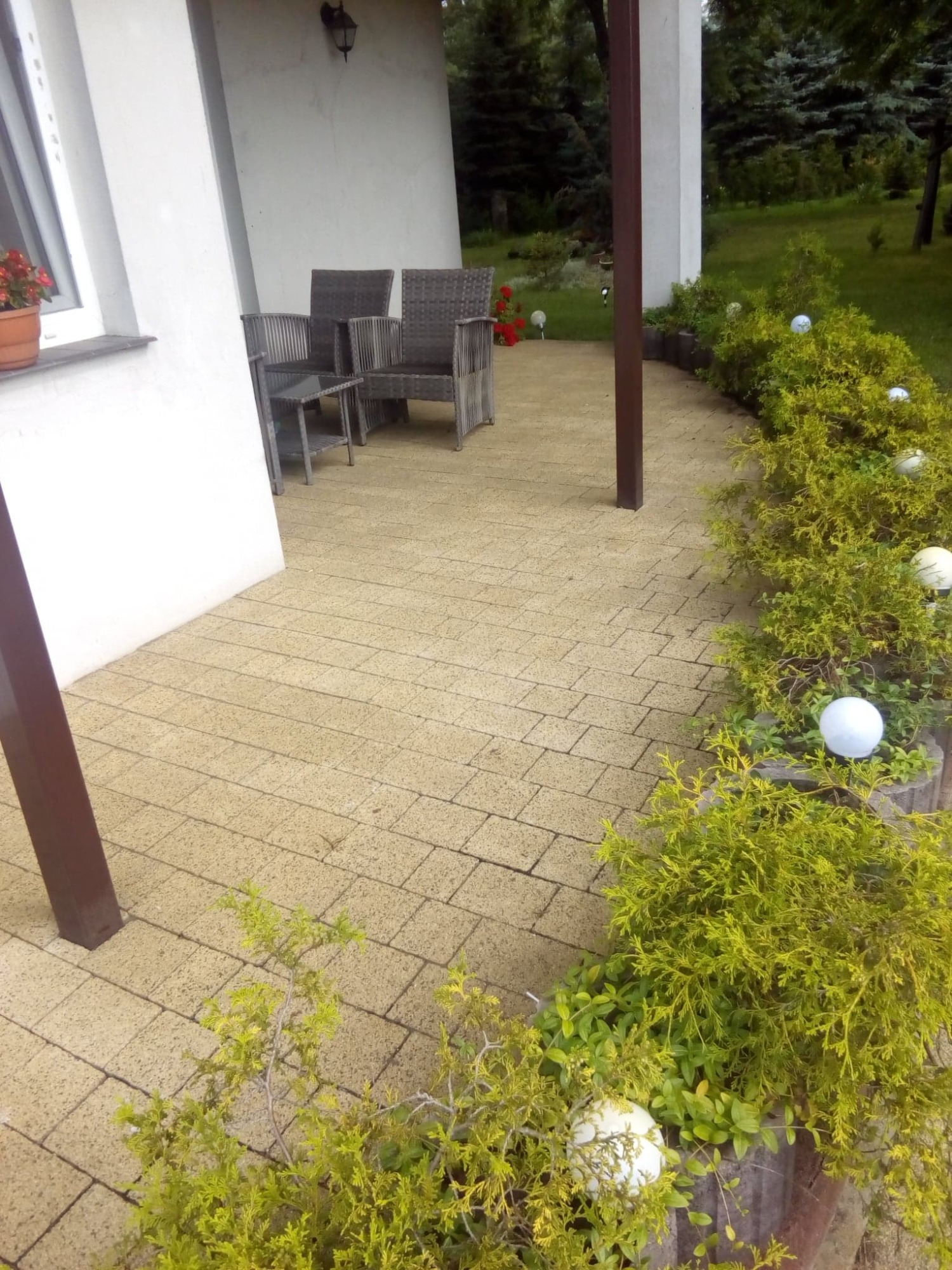 Żółta kostka brukowa na patio z meblami ogrodowymi, oświetlona kulami w krzewach.