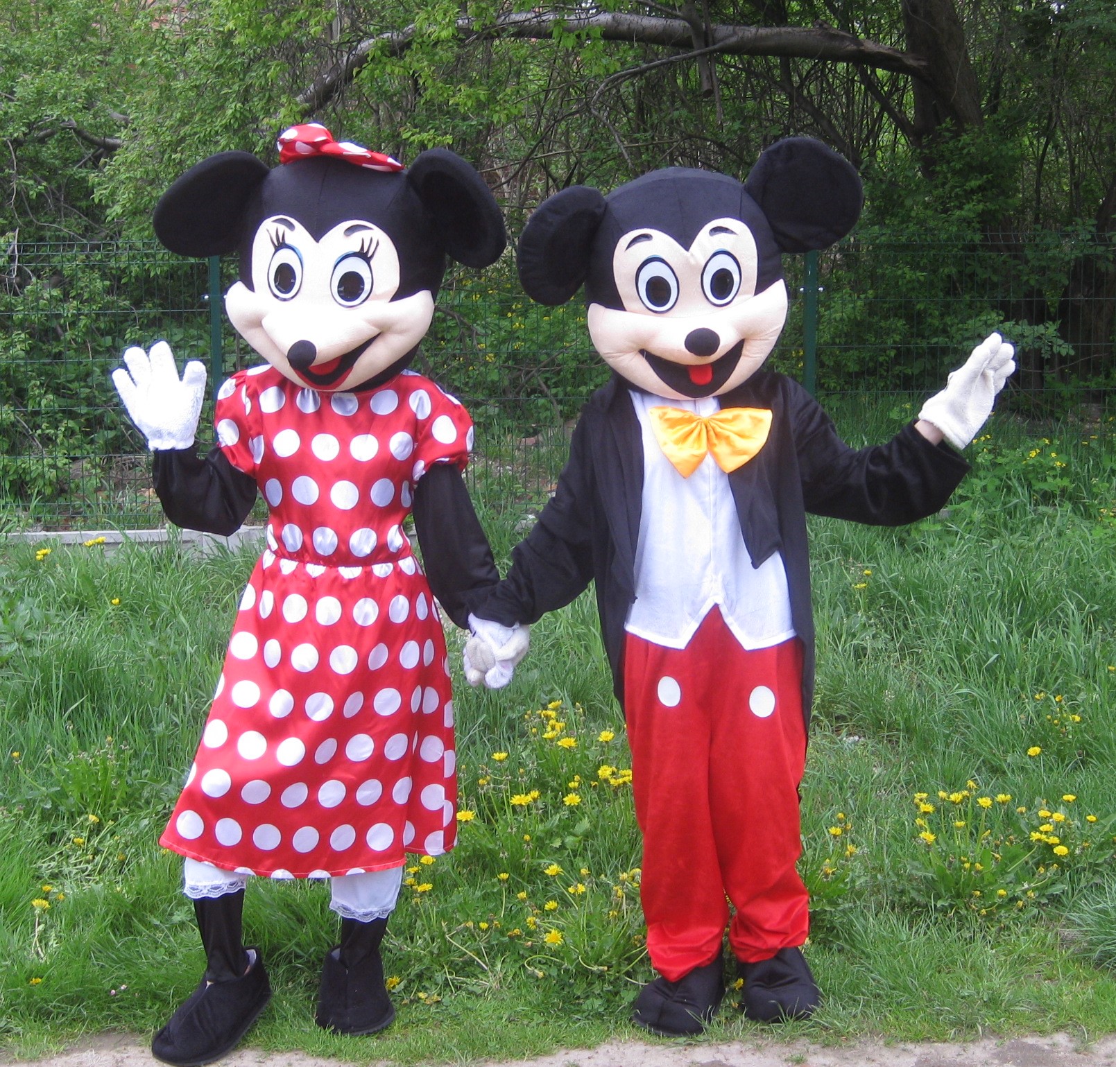 Dwie osoby w kostiumach Myszki Miki i Minnie trzymają się za ręce na tle zieleni i żółtych kwiatów.