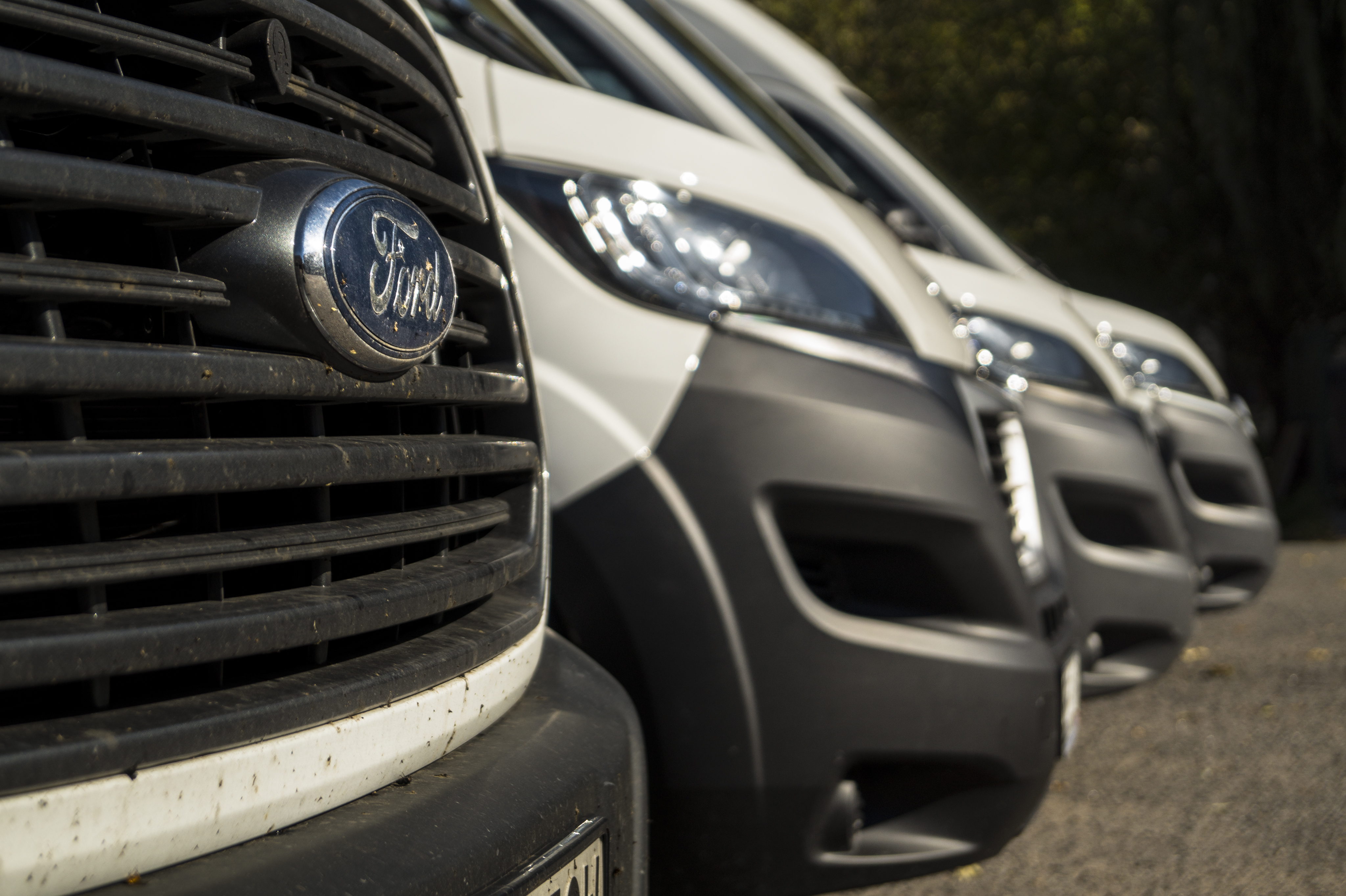 Szereg białych samochodów dostawczych Ford Transit, widok z przodu na logo na grillu pierwszego pojazdu, z widocznymi reflektorami kolejnych pojazdów w tle.