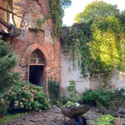 Dziedziniec starego ceglanego budynku z elementami renesansowymi, porośniętego bluszczem, z wózkiem wypełnionym ziemią i sadzonkami, oraz skrzynką z roślinami, przygotowany do nasadzeń.