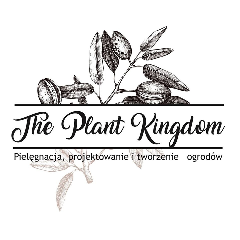 Graficzne logo firmy ogrodniczej The Plant Kingdom z rysunkami gałązek i liści oraz napisem 'Pielęgnacja, projektowanie i tworzenie ogrodów'.