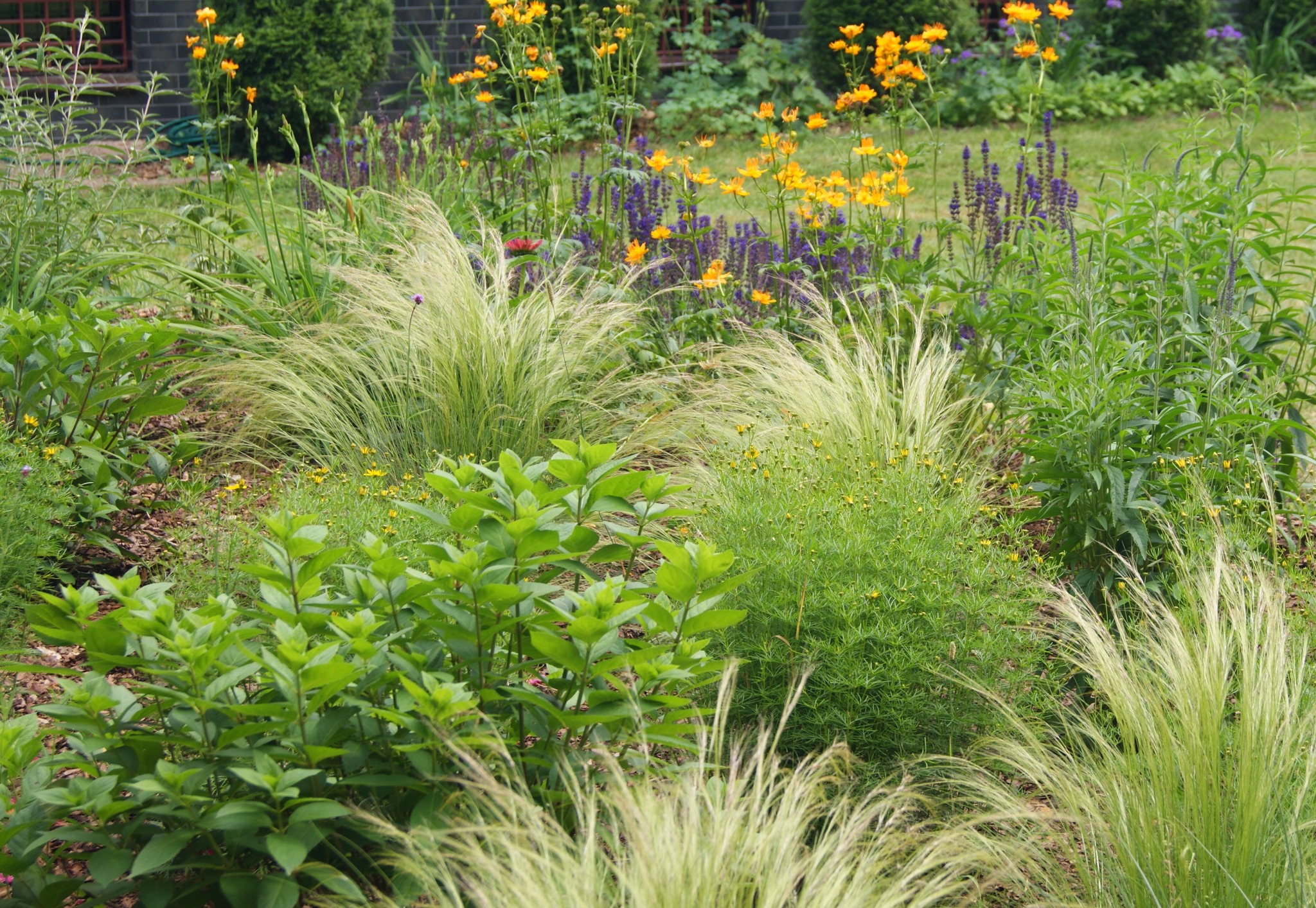 Bujny ogród z ozdobnymi trawami, kwitnącymi bylinami w odcieniach żółci i fioletu oraz zielonymi krzewami na tle ceglanego muru.