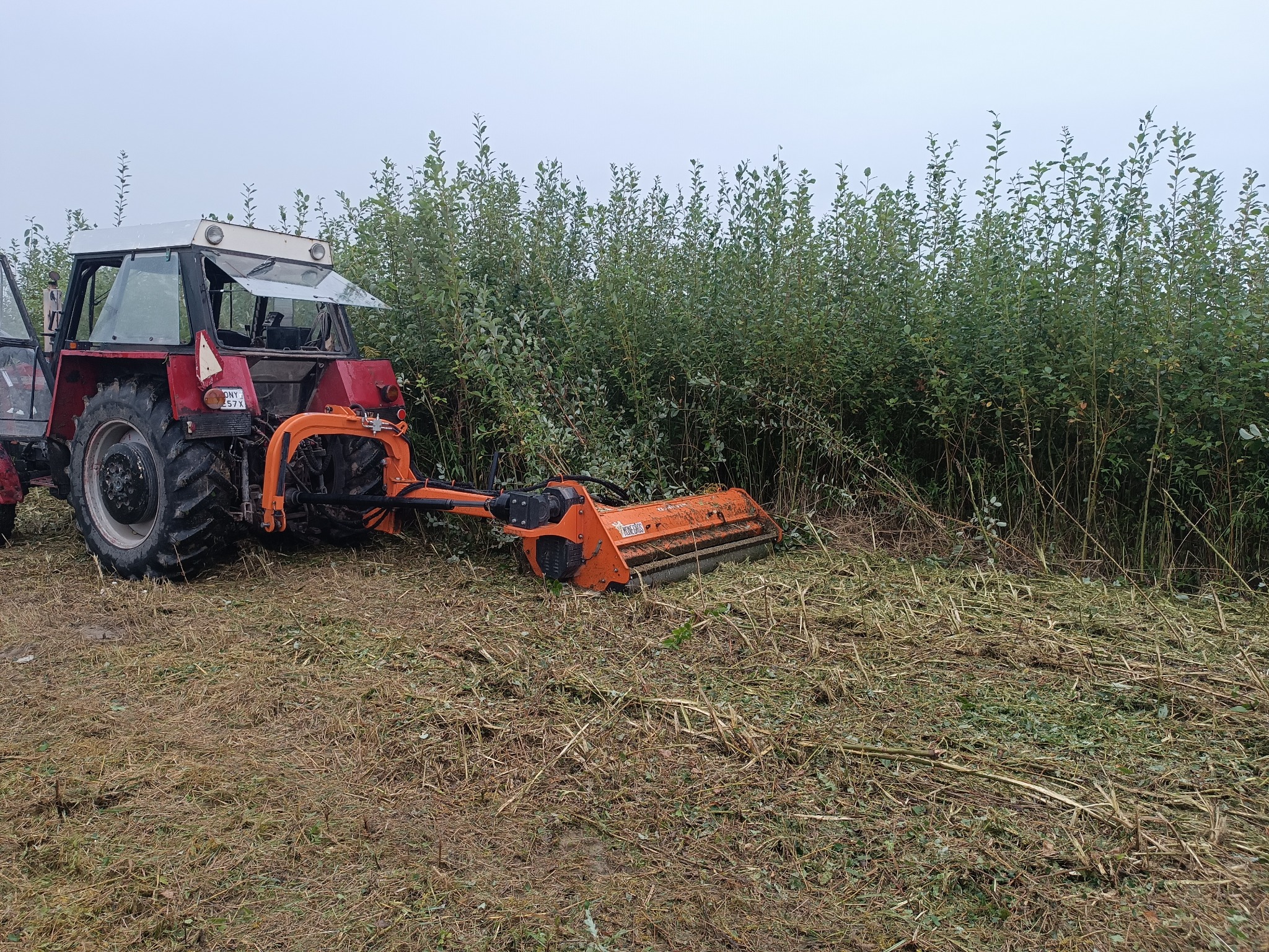 Czerwony traktor z pomarańczową kosiarką bijakową w trakcie koszenia zarośli na polu w pochmurny dzień. Widoczne ścięte rośliny.