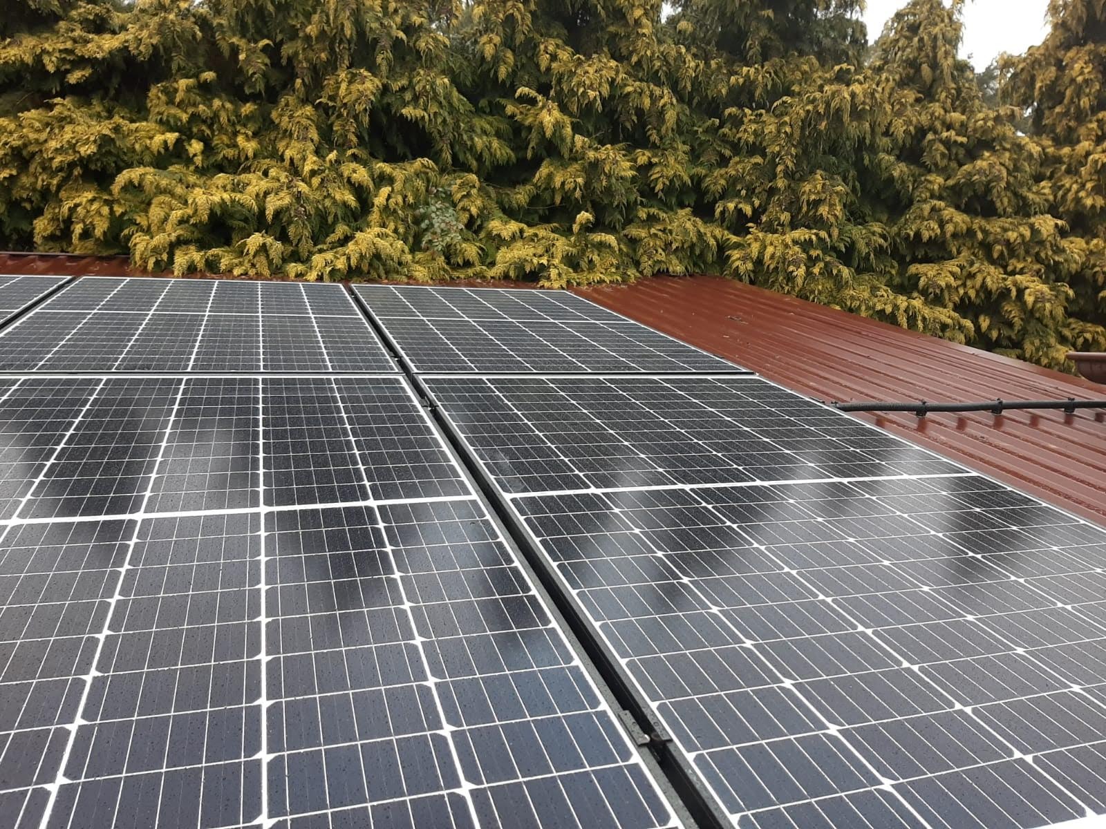 Panele słoneczne na brązowym, blaszanym dachu, z widocznymi kroplami wody i tłem z zielonych drzew iglastych.