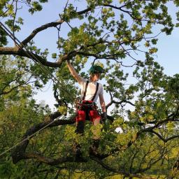 Arborysta Marcin Jackowski - Nawadnianie Ogrodów Wołów
