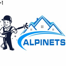 Alpinets - Czyszczenie Dachu Bojanowo