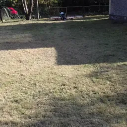 Trawa po koszeniu z widocznym wzorem, ogrodzenie z siatki w tle, fragment budynku po prawej stronie.