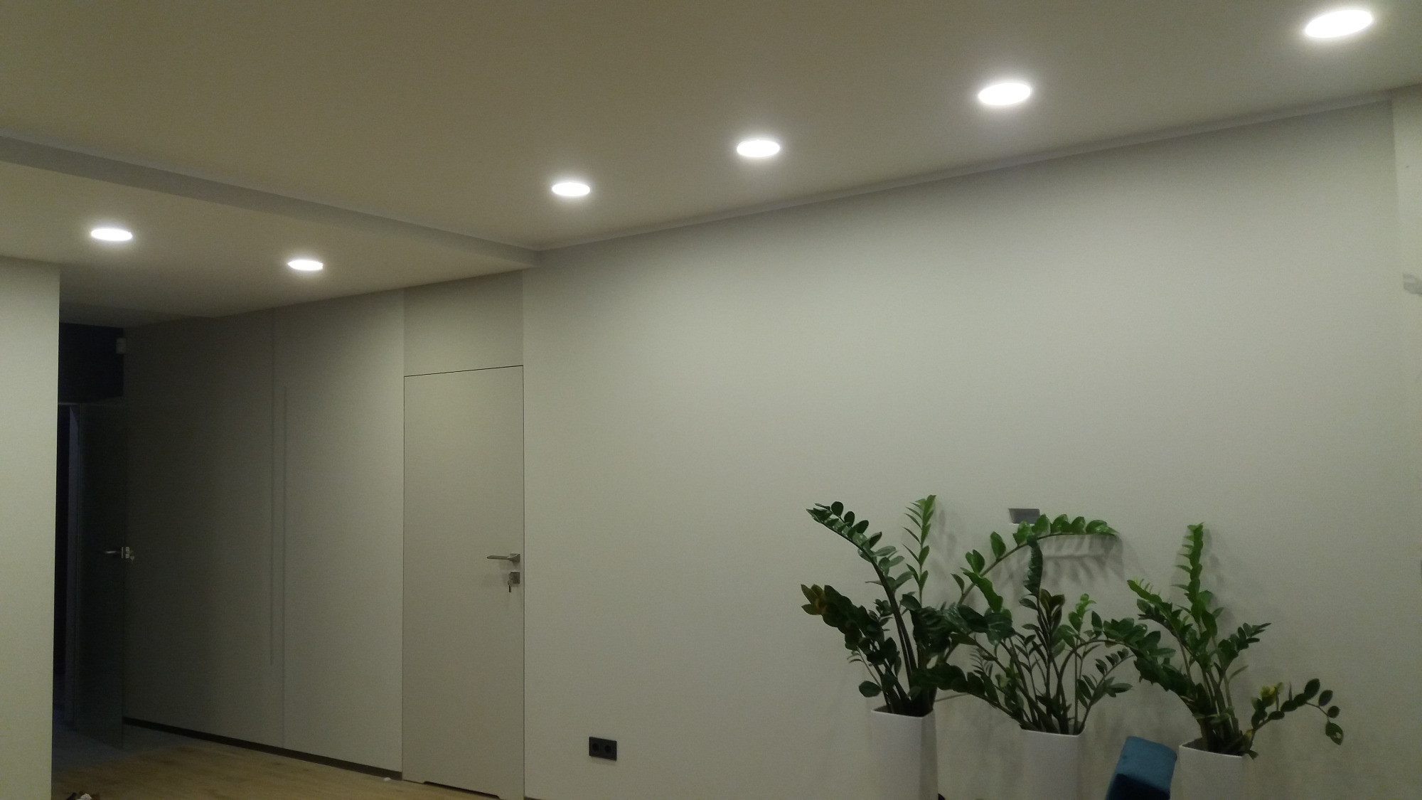 Minimalistyczne wnętrze z gładkimi, białymi ścianami i wbudowanym oświetleniem punktowym, uzupełnione trzema roślinami doniczkowymi w białych osłonkach.