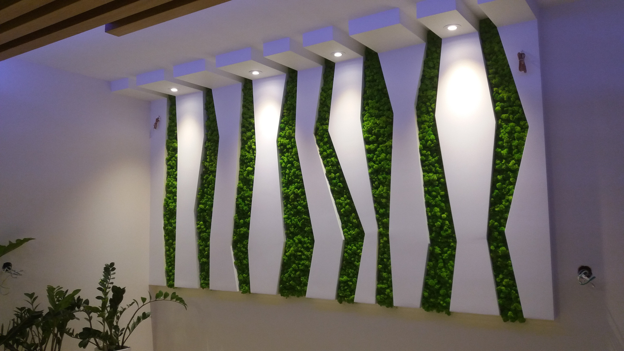 Dekoracyjna ściana z mchu stabilizowanego w białych, geometrycznych panelach, oświetlona punktowo, z fragmentem rośliny doniczkowej w lewym dolnym rogu.