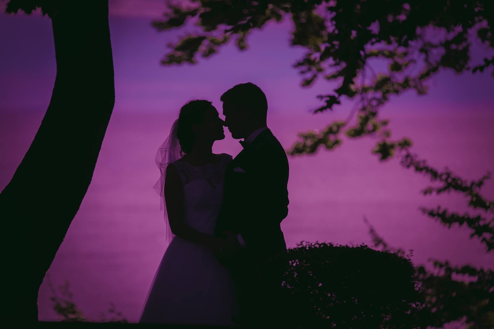 Silhouettes of a bride in a white dress with a veil and a groom in a dark suit, holding hands and about to kiss against a vibrant purple sunset sky, framed by tree branches.