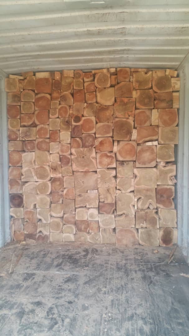 Kwadratowe klocki drewna tekowego i mahoniu, ułożone ciasno wewnątrz kontenera transportowego, widoczne słoje drewna i naturalne przebarwienia.