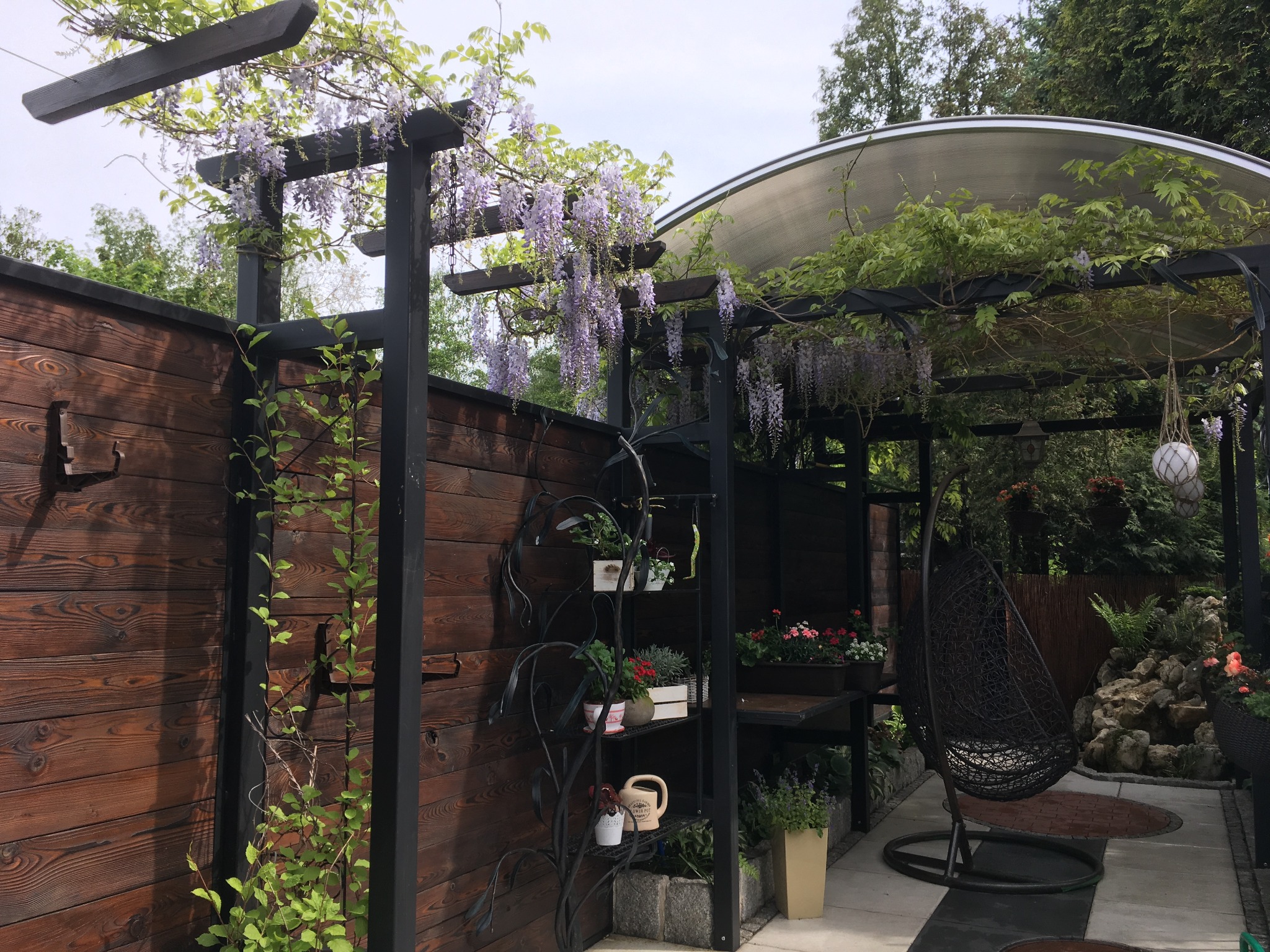 Kącik relaksacyjny w ogrodzie z drewnianym ogrodzeniem, metalową pergolą porośniętą glicynią, wiszącym fotelem kokonem i półką na kwiaty.