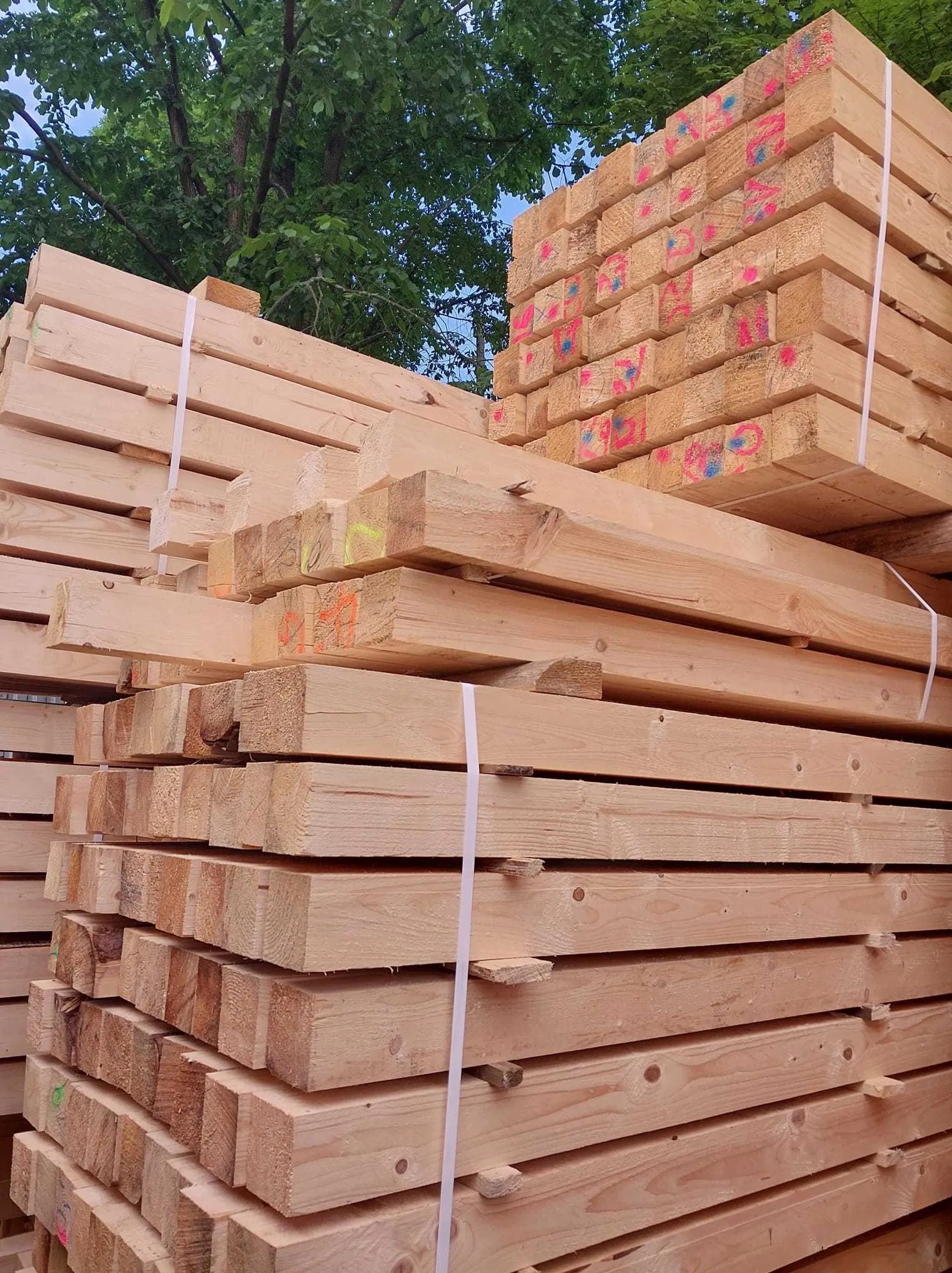 Stosy świeżo przetartego drewna budowlanego, zabezpieczone białymi taśmami, z widocznymi oznaczeniami kolorowymi markerami, na tle zieleni drzew.