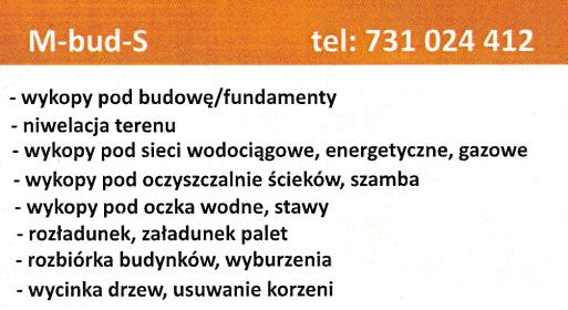 M-bud-S - W ogrodzie, przed domem Psarskie