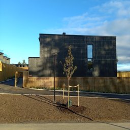 STOLBUD Wojciech Duda - Nowoczesny dom szkieletowy z czarną elewacją, widoczny z zewnątrz, z młodym drzewkiem na pierwszym planie i drewnianym ogrodzeniem. Minimalistyczny styl.