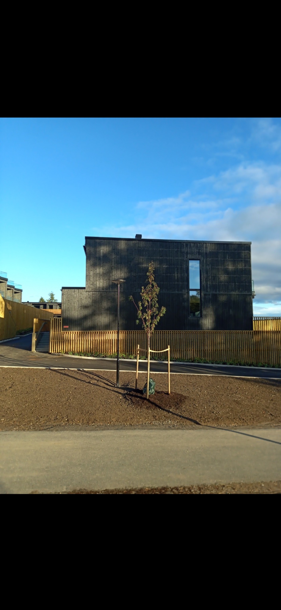 Nowoczesny dom szkieletowy z czarną elewacją, widoczny z zewnątrz, z młodym drzewkiem na pierwszym planie i drewnianym ogrodzeniem. Minimalistyczny styl.