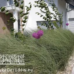 Kępa ozdobnej trawy z fioletowymi czosnkami ozdobnymi na tle nowoczesnego domu z numerem 26 i białymi roletami w oknie garażowym. Widoczne logo firmy Fabryka Ogrod&oacute;w.