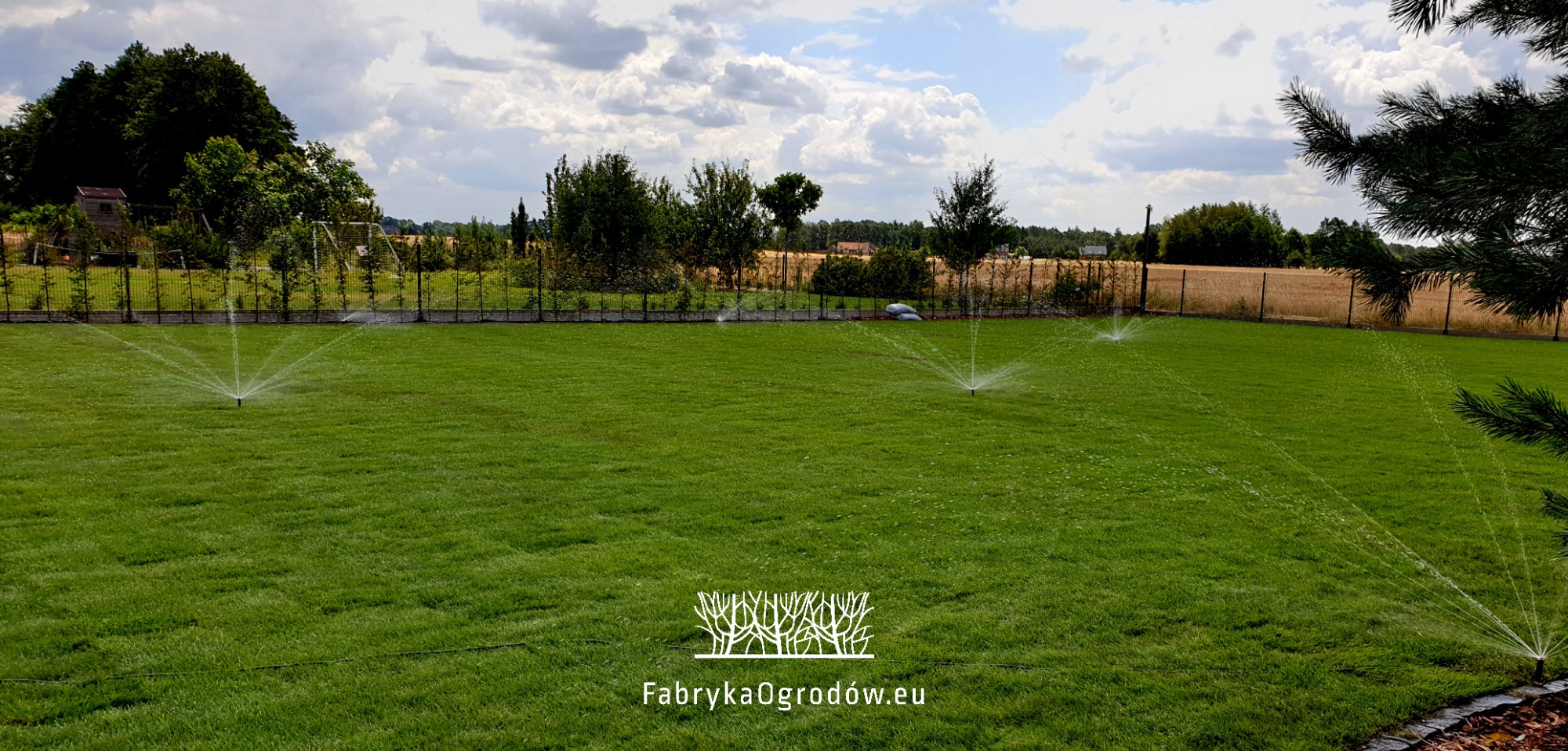 Rozległy trawnik z automatycznym systemem nawadniania w trakcie pracy, widoczne rozpylacze i strumienie wody, w tle ogrodzenie, drzewa i pole uprawne pod błękitnym niebem z chmurami.