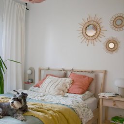 K2 Koncept - Jasna sypialnia z drewnianym łóżkiem, pastelową pościelą, okrągłymi lustrami na ścianie i psem rasy sznaucer miniaturowy leżącym na łóżku.