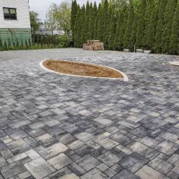 Ułożona szara kostka brukowa na posesji z przygotowanym miejscem w kształcie łzy na trawnik lub rabatę, w tle rząd wysokich tuj.