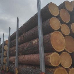 Skład drewna Bakałarzewo 2