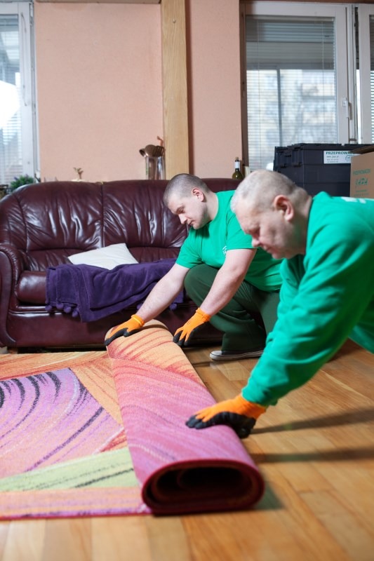 Dwóch mężczyzn w zielonych koszulkach i pomarańczowych rękawicach zwija kolorowy dywan na drewnianej podłodze w pomieszczeniu z brązową sofą i oknem w tle, przygotowując go do transportu.