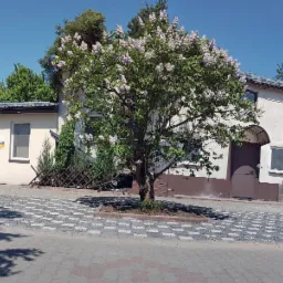 Budynek szwalni z kwitnącym bzem na pierwszym planie, widoczny rower i zaparkowany samochód, jasny dzień.