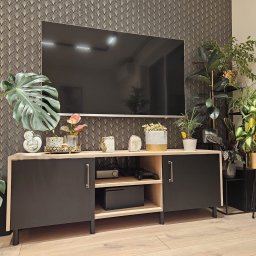 Flormeb - Nowoczesna szafka RTV z czarnymi frontami i drewnianym korpusem, na której stoją rośliny doniczkowe i dekoracje; w tle ściana z tapetą w geometryczny wzór.