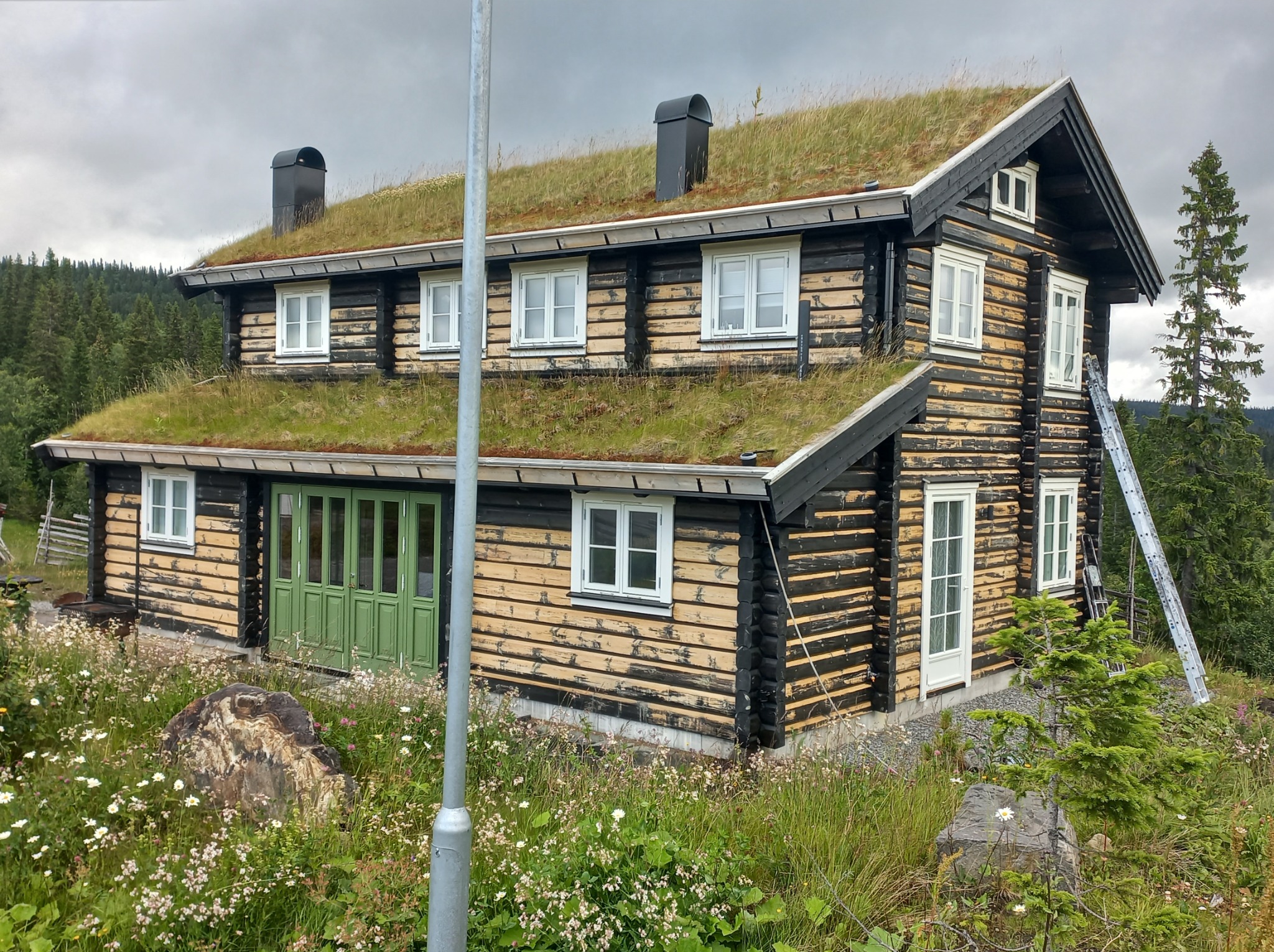Dwupiętrowy dom z bali z zielonym dachem porośniętym trawą, pomalowany na czarno z elementami naturalnego drewna, z zielonymi drzwiami balkonowymi i białą stolarką okienną, na tle zalesionego wzgórza.