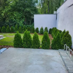 Świeżo wylany betonowy taras otoczony rzędem małych, zielonych tuj, z metalowym stojakiem na rowery po prawej stronie i zielenią w tle.