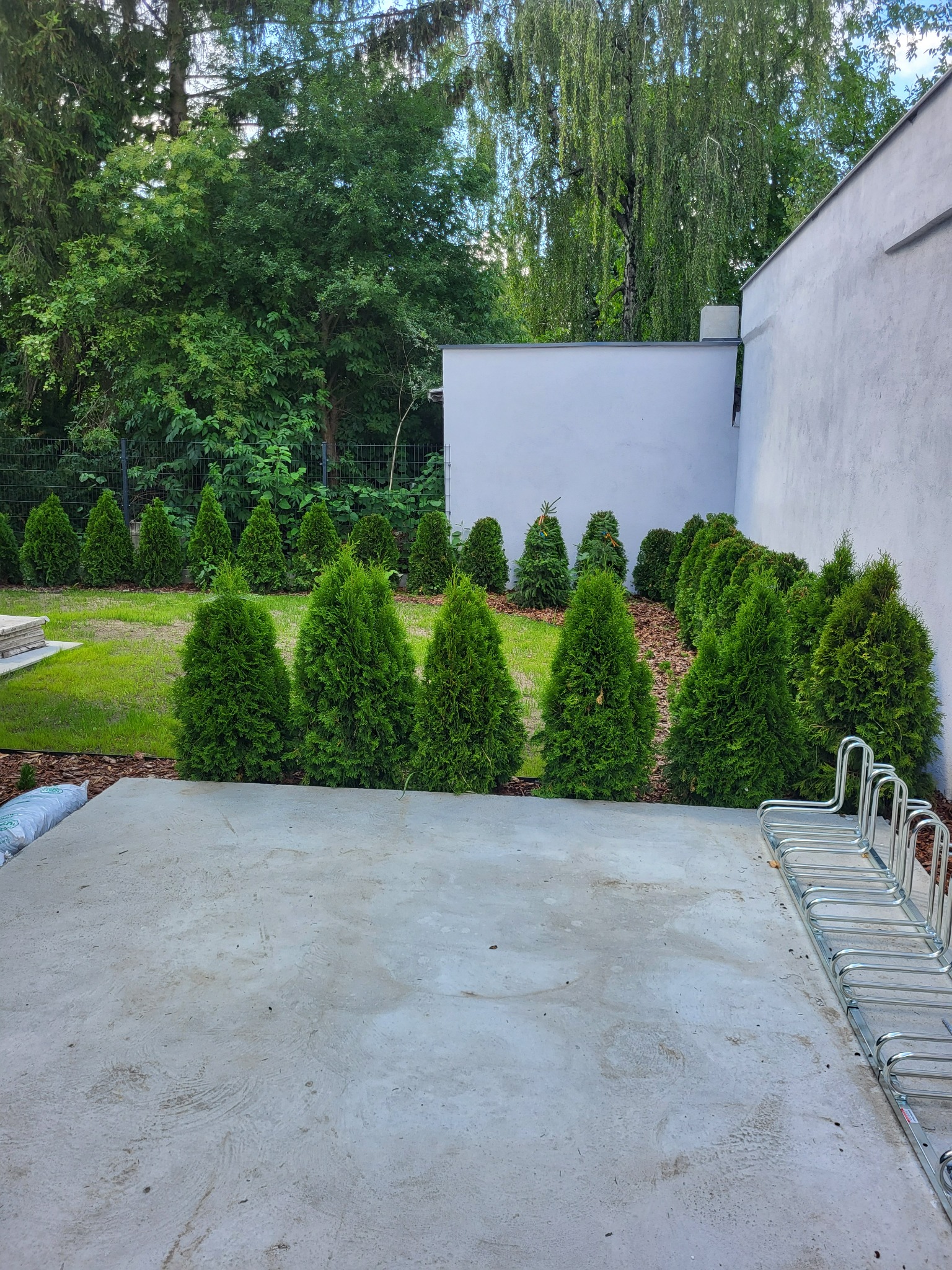 Świeżo wylany betonowy taras otoczony rzędem małych, zielonych tuj, z metalowym stojakiem na rowery po prawej stronie i zielenią w tle.