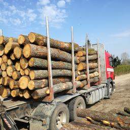 Drewno kominkowe Janów 2